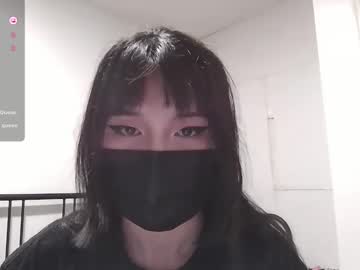 kitty krush
